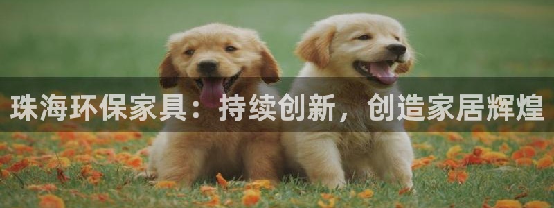 杏耀平台代理怎么赚钱
