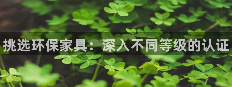 杏耀注册登入