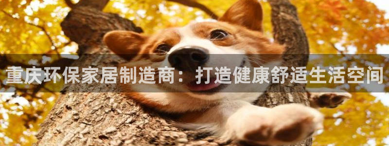杏耀平台在哪里