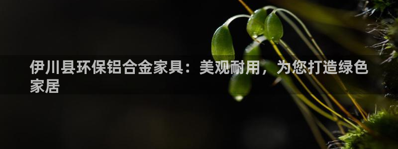 杏耀官方