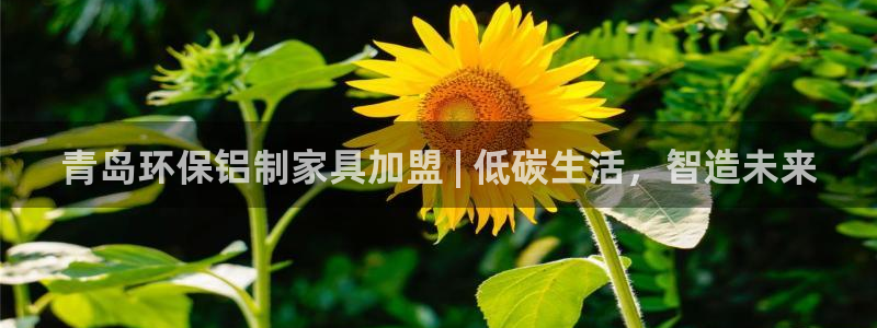 杏耀注册代理