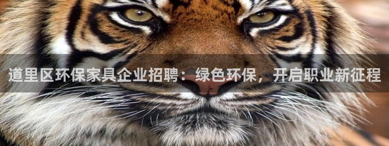 杏耀平台登陆官网：道里区环保家具企业招聘：绿色环保，开启职业