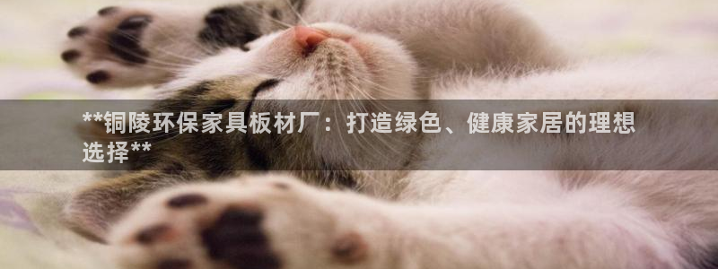 杏耀平台分红：**铜陵环保家具板材厂：打造绿色、健康家居的理