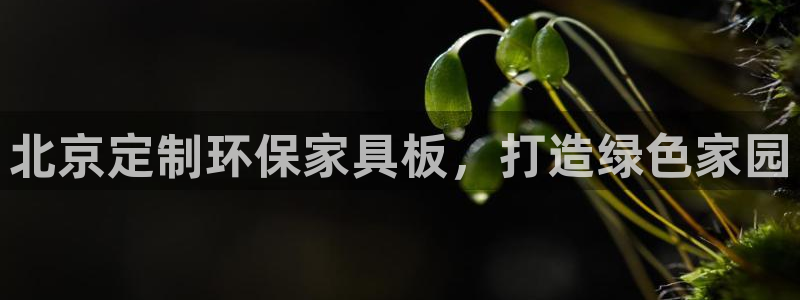 杏耀平台客服：北京定制环保家具板，打造绿色家园