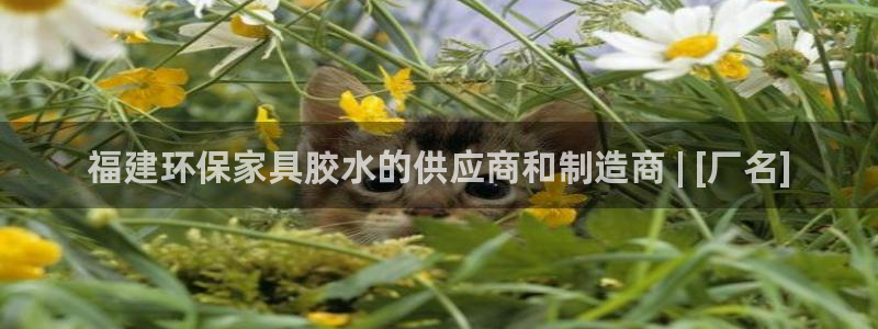杏耀平台官方网站