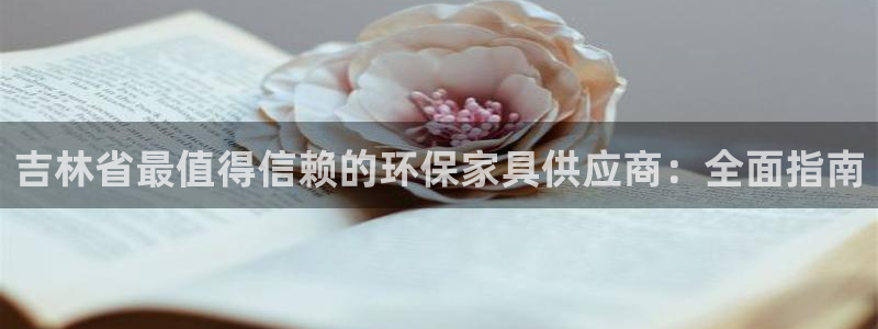 杏耀登录网页：吉林省最值得信赖的环保家具供应商：全面指南