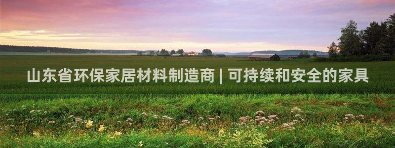 杏耀3代理：山东省环保家居材料制造商 | 可持续和安全的家具