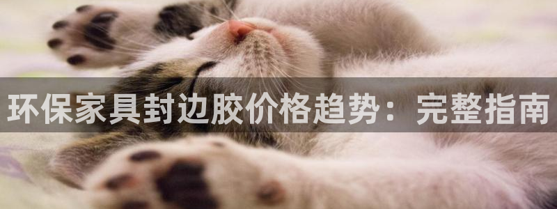 杏耀平台靠谱吗：环保家具封边胶价格趋势：完整指南