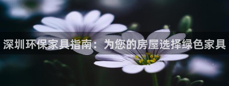 杏耀测速网址电脑版：深圳环保家具指南：为您的房屋选择绿色家具
