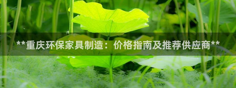 杏耀官网注册地址：**重庆环保家具制造：价格指南及推荐供应商