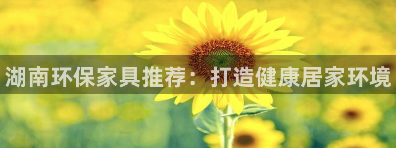 杏耀注册登陆：湖南环保家具推荐：打造健康居家环境