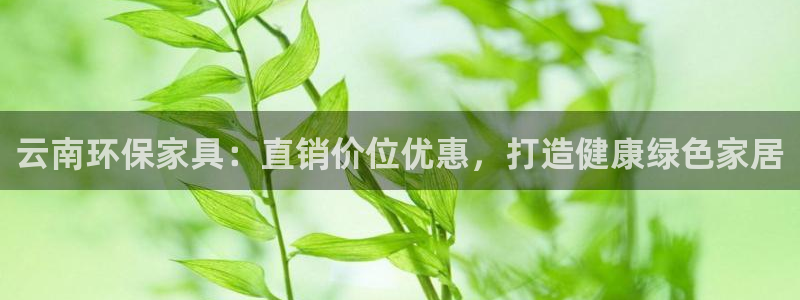杏耀平台怎样