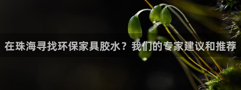 杏耀登陆网站：在珠海寻找环保家具胶水？我们的专家建议和推荐