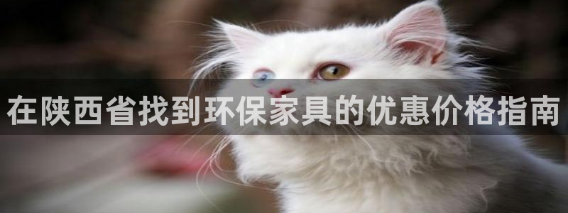 杏耀平台登录：在陕西省找到环保家具的优惠价格指南