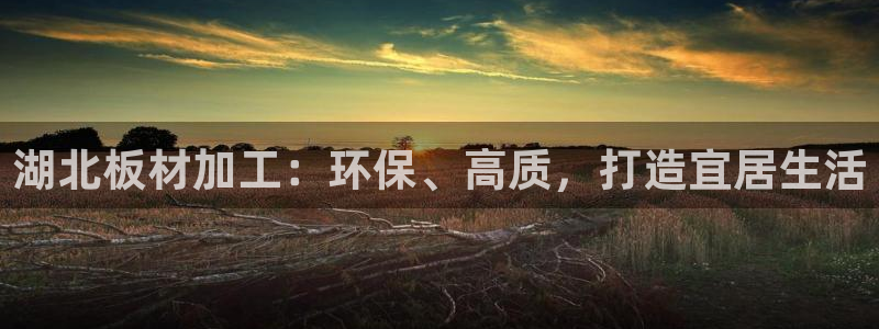 杏耀平台注册地址：湖北板材加工：环保、高质，打造宜居生活