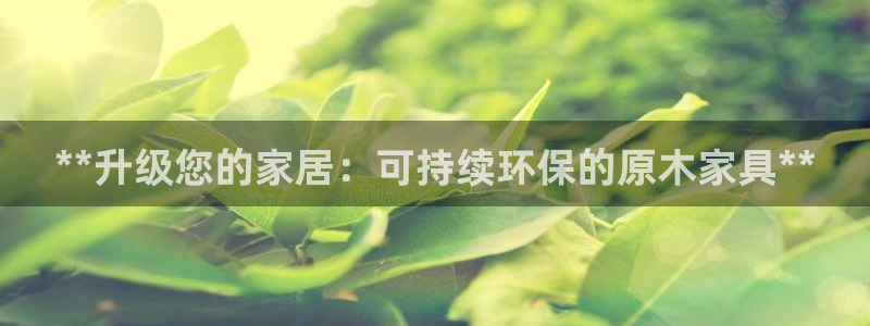 杏耀软件