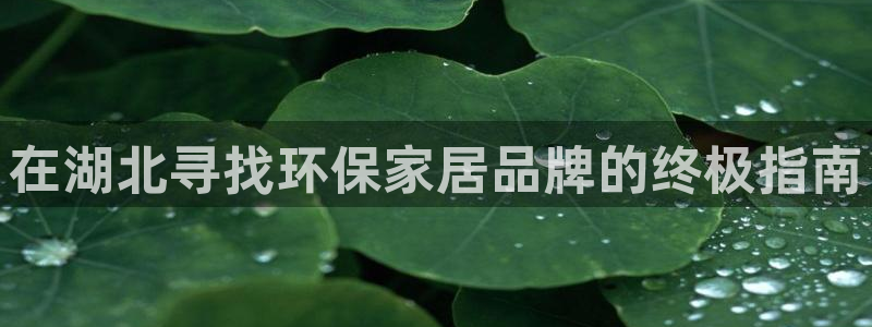杏耀平台还在吗