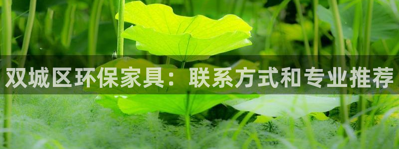 杏耀总代