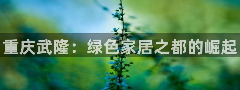 杏耀官网网站