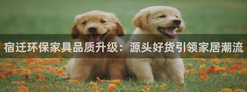 杏耀官方娱乐