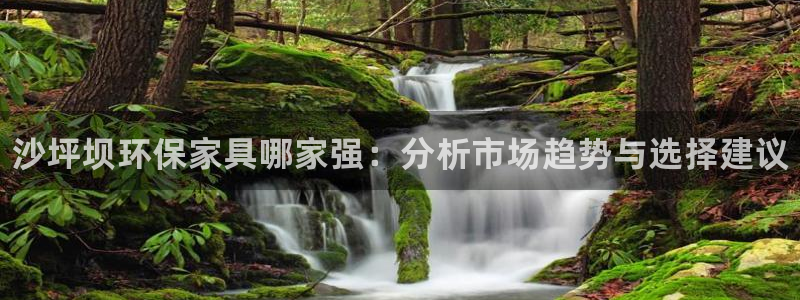 杏耀平台主管：沙坪坝环保家具哪家强：分析市场趋势与选择建议