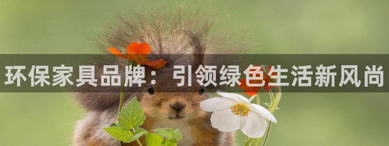 杏耀平台是真的吗：环保家具品牌：引领绿色生活新风尚
