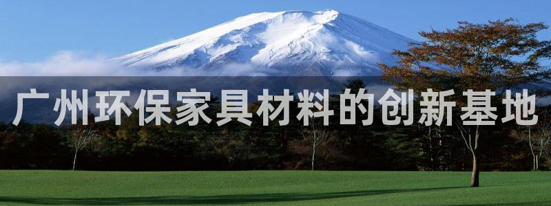 杏耀平台网站是什么：广州环保家具材料的创新基地