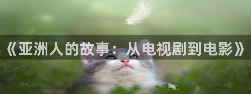欧美神秘影院：《亚洲人的故事：从电视剧到电影》