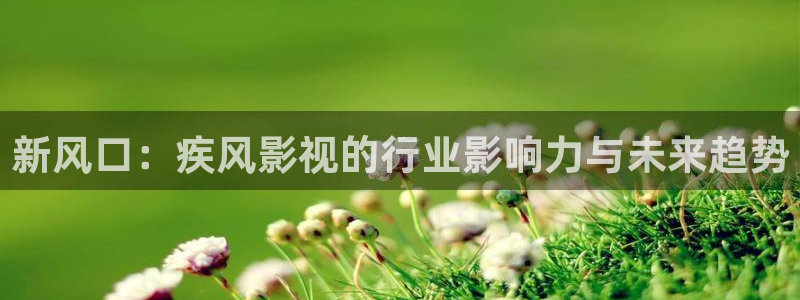神秘电影国产影院：新风口：疾风影视的行业影响力与未来趋势
