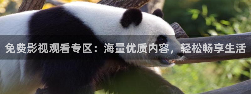 神秘电影影院：免费影视观看专区：海量优质内容，轻松畅享生活