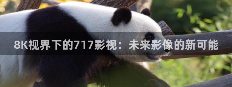 神秘影院：8K视界下的717影视：未来影像的新可能