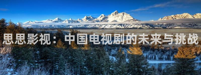 yy神秘影院：思思影视：中国电视剧的未来与挑战