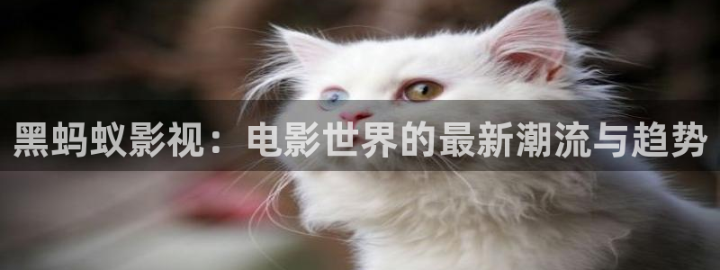 神秘电影国产影院：黑蚂蚁影视：电影世界的最新潮流与趋势