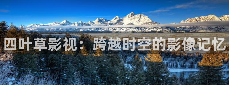 神秘电影国产影院：四叶草影视：跨越时空的影像记忆