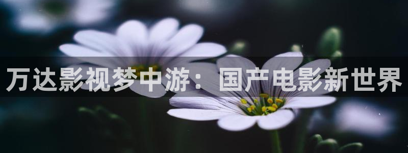 欧美神秘影院：万达影视梦中游：国产电影新世界